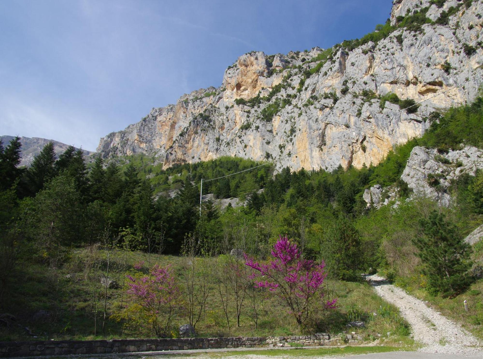 Casa vacanze 
